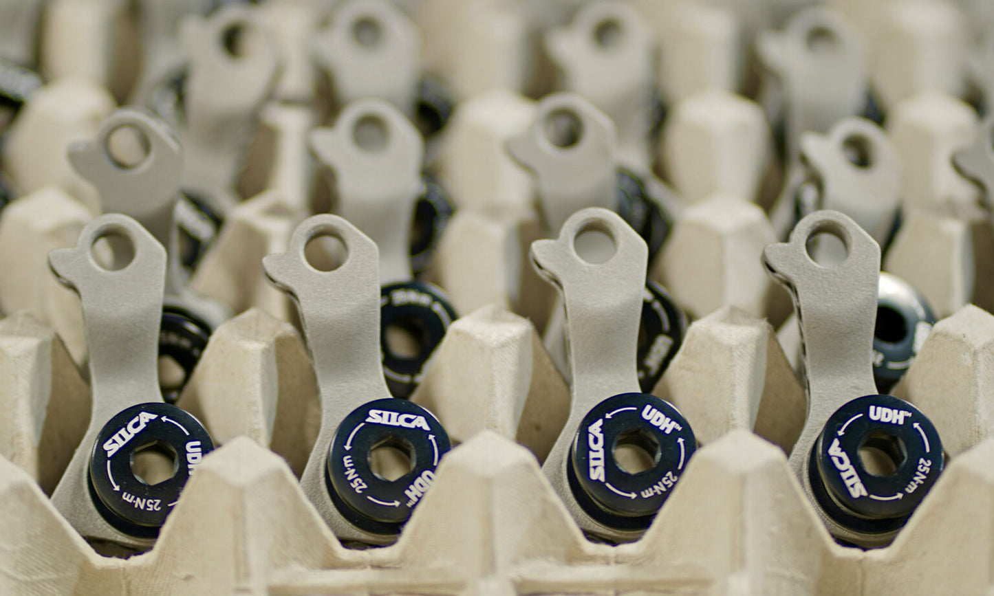 SILCA / UDH Derailleur Hanger